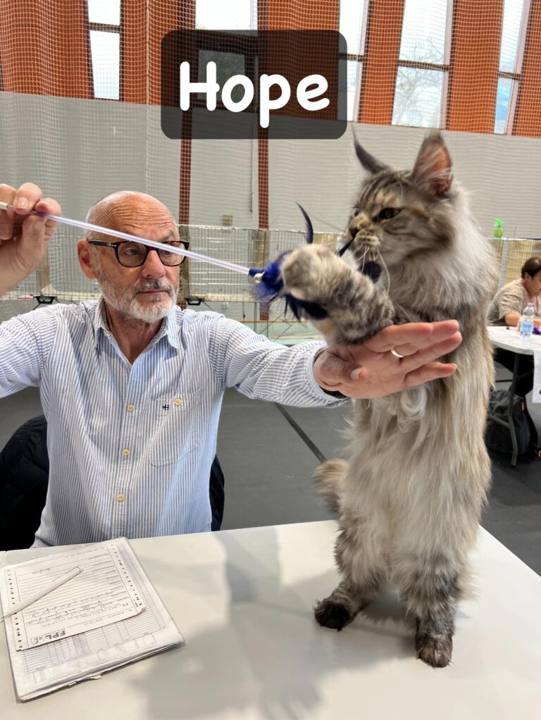 Hope